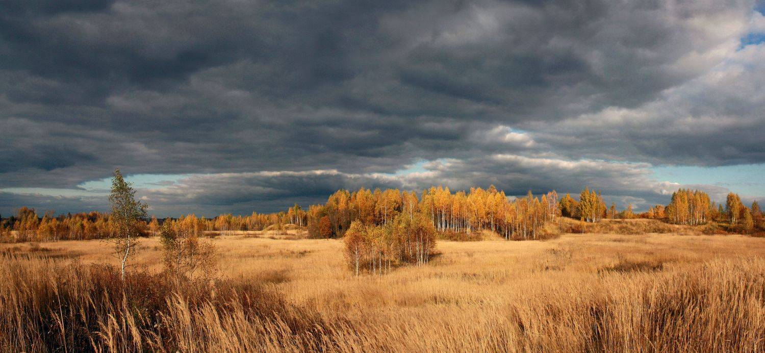осень, поле , облака , лес, Александр Свистков