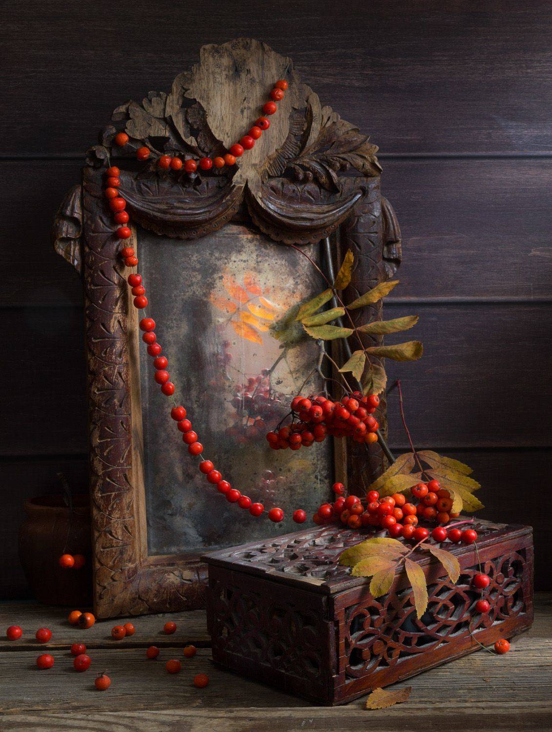 , Колеснева Елена