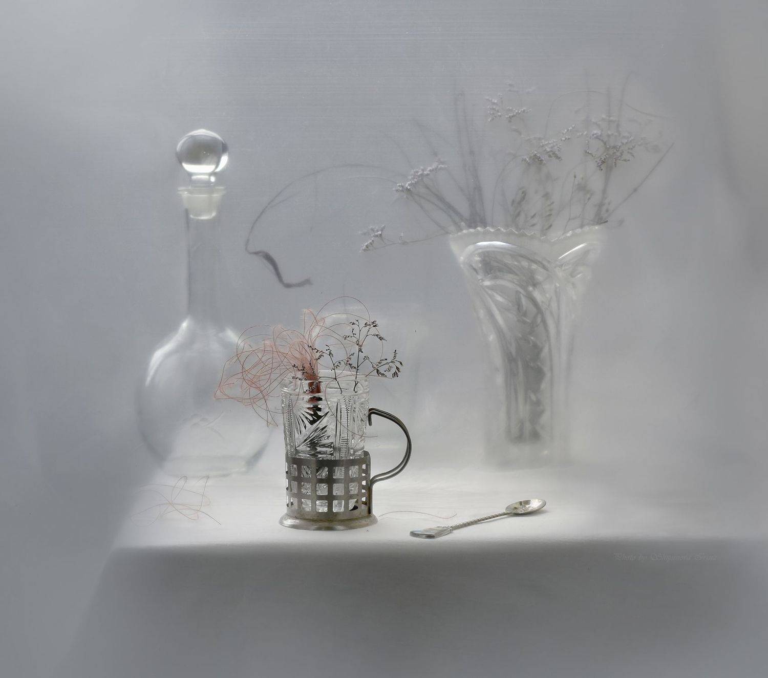 , Шипунова Ирина