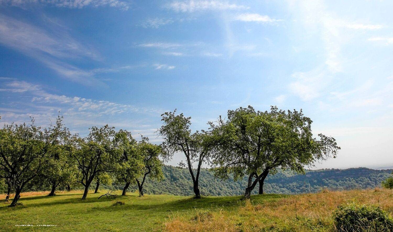 сад,пейзаж,природа,, Magov Marat