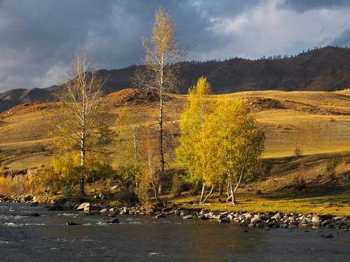 Осень в Чибите