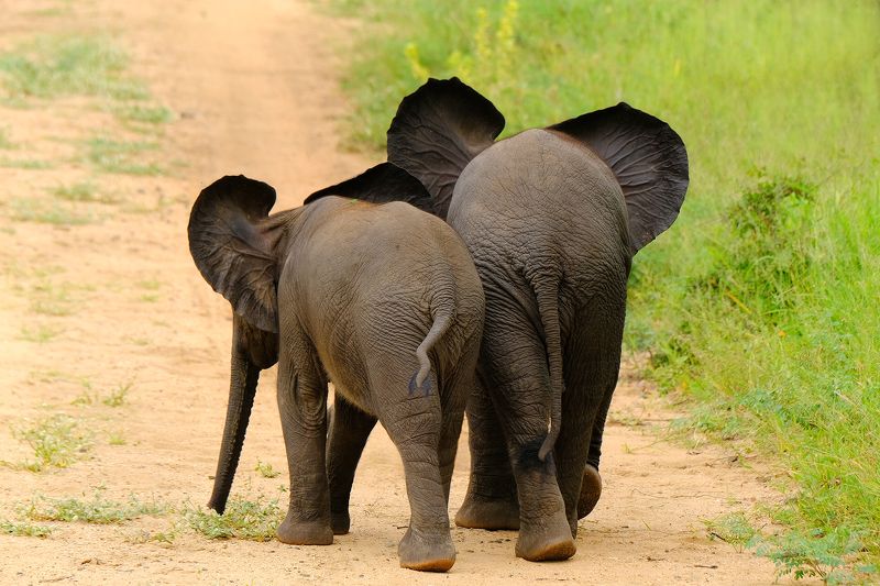 Small&smaller  фото превью