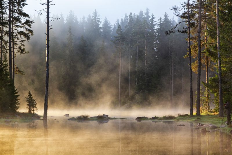 early morning фото превью