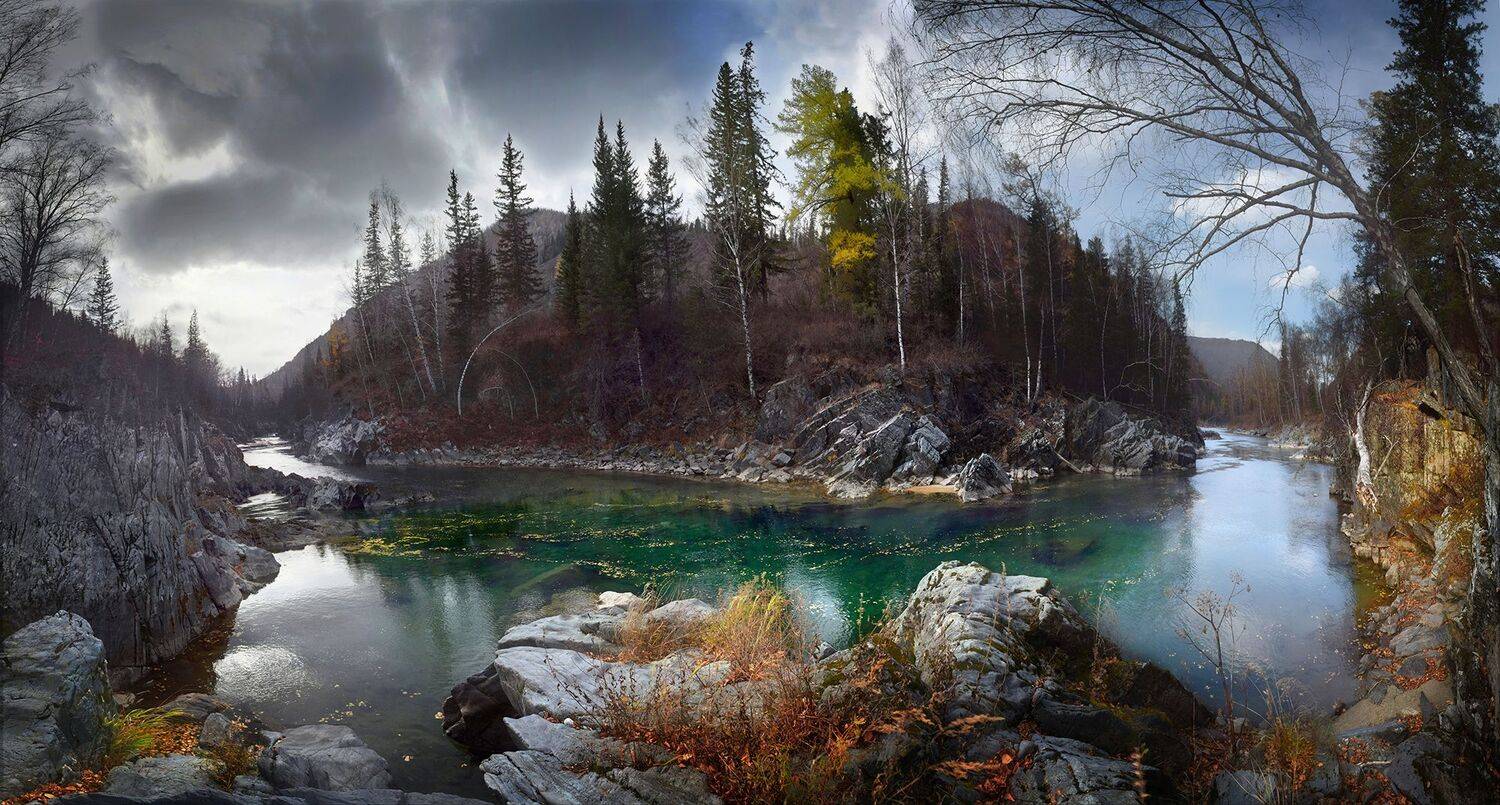 , Светлана Крат