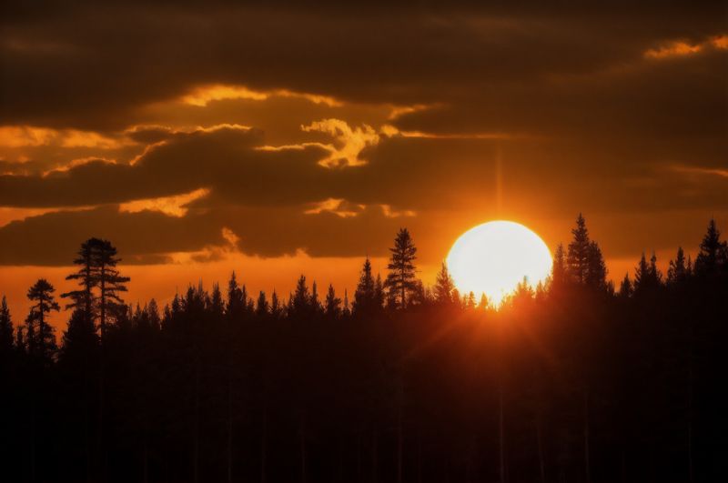 солнце, закат, пейзаж, темный лес, длинный фокус Прощальный взгляд уходящего солнца фото превью