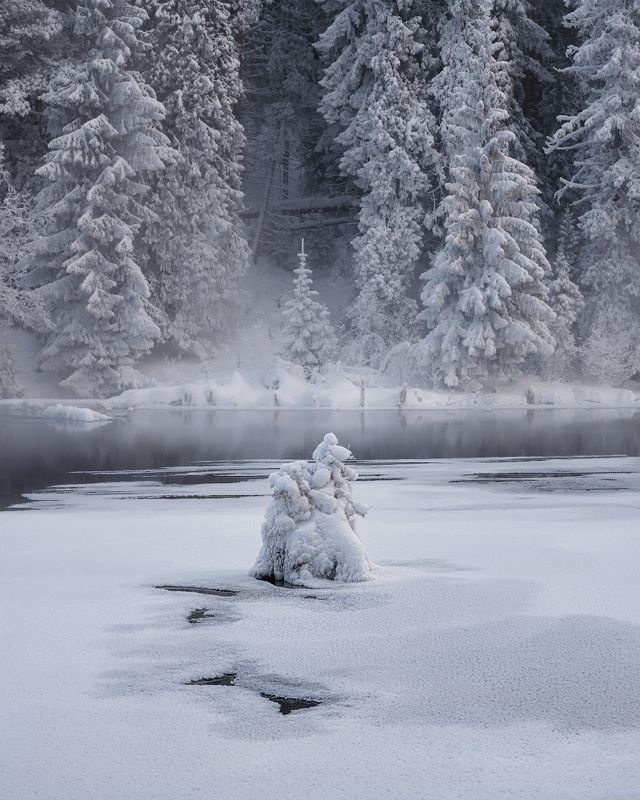 Страж озера фото превью