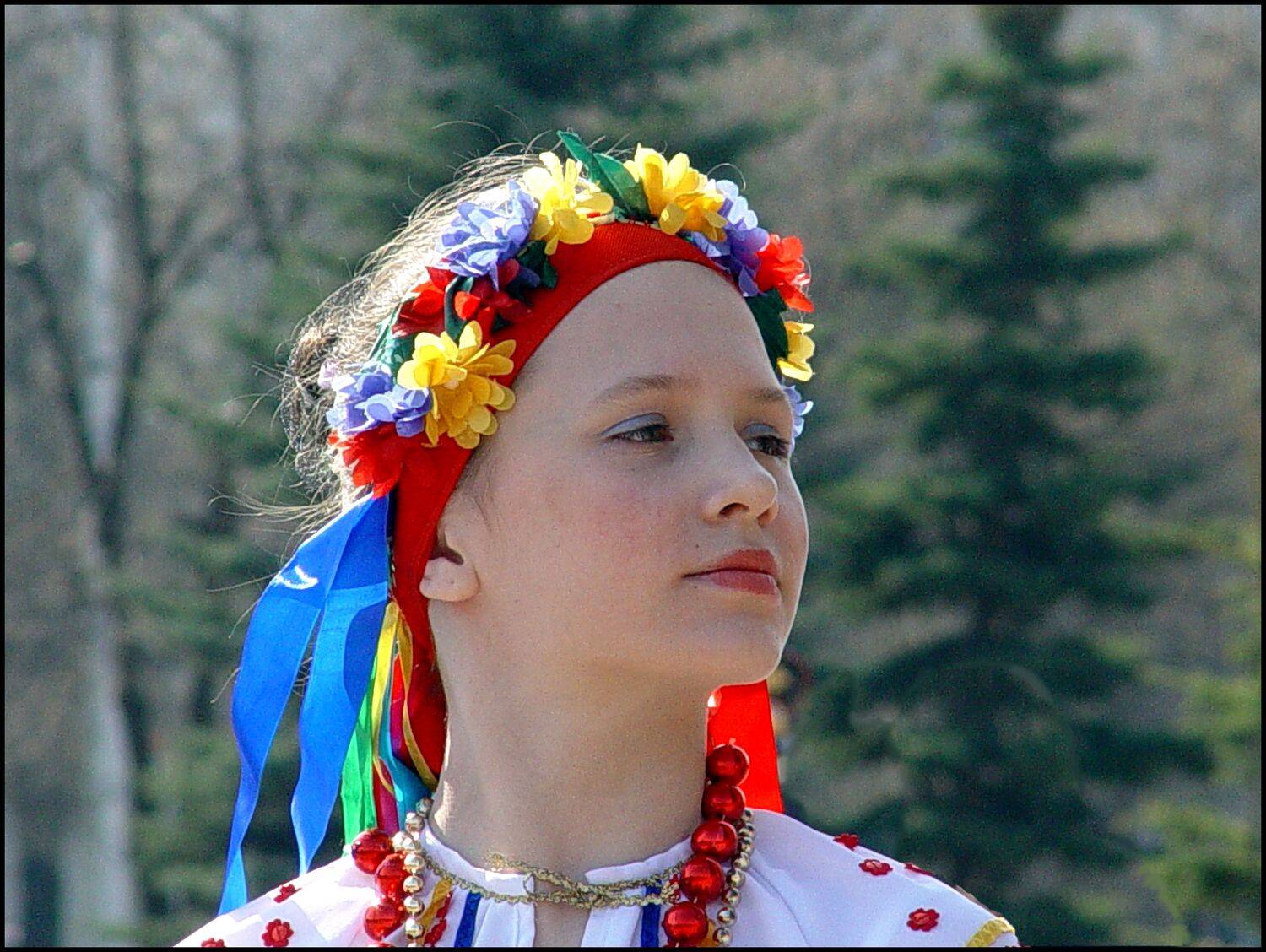 , Меднов Влад