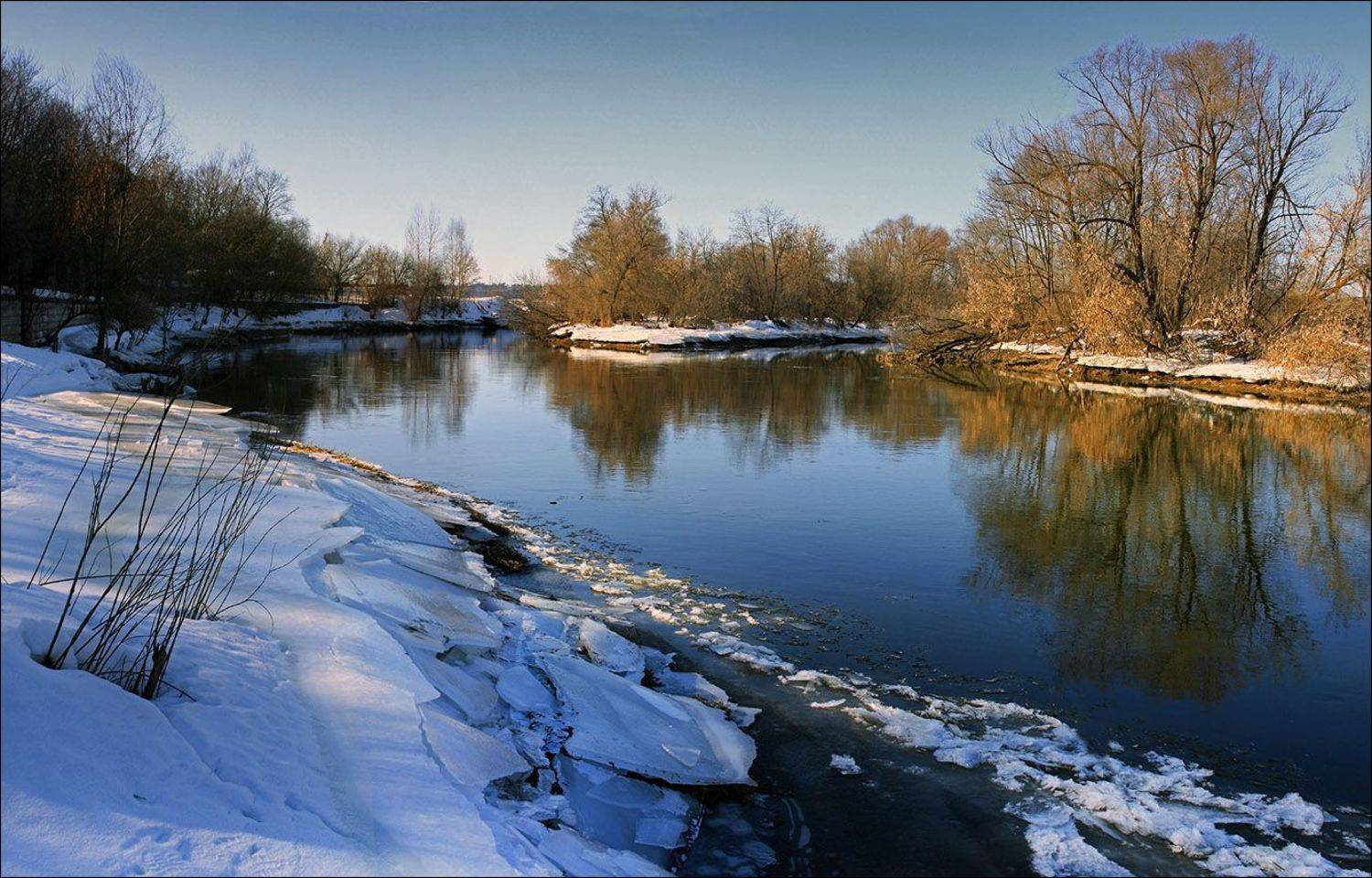 , Тарасов Алексей