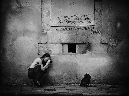 А птичка точно вылетит?