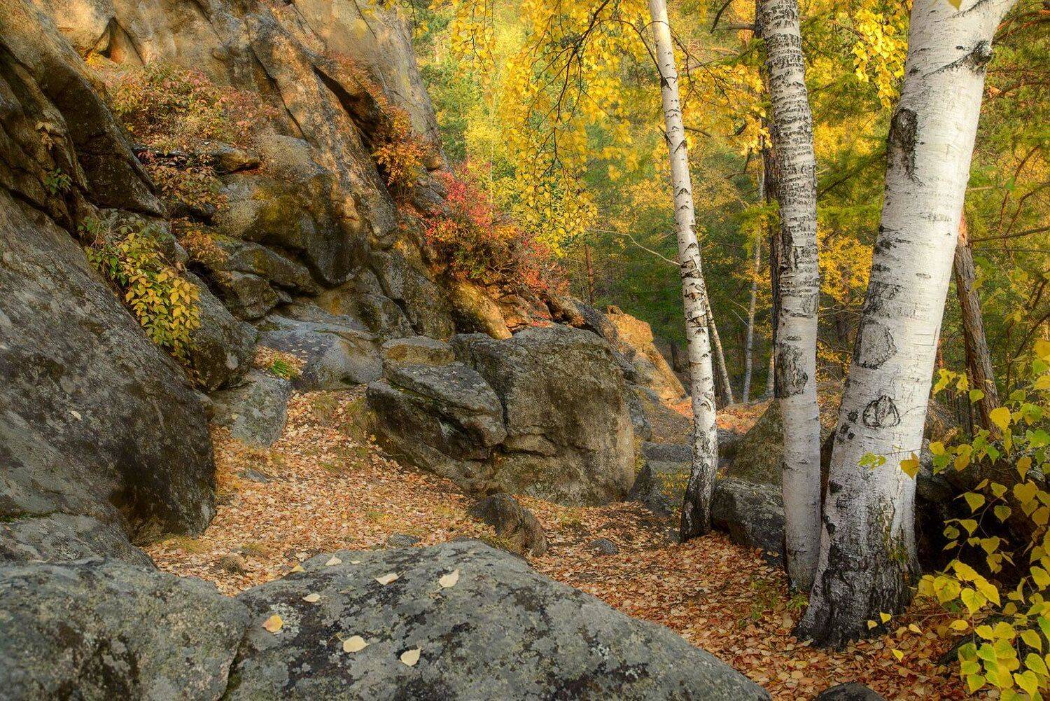 , Сергей Брагин