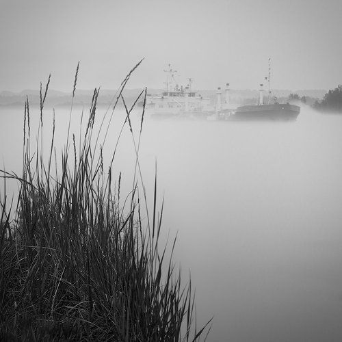 На реке туман