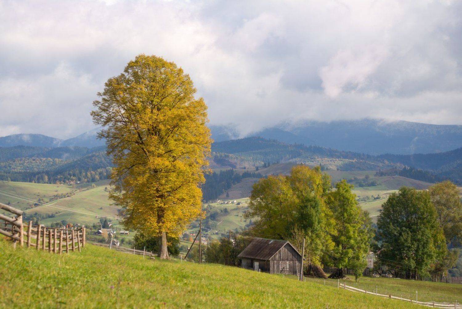 горы,карпаты,свет,осень,природа,красота,деревня,украина, Пеккер Сергей