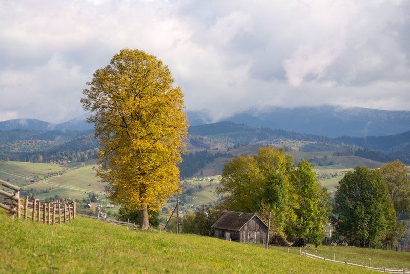 горы,карпаты,свет,осень,природа,красота,деревня,украина Карпаты. Село Черная Тиса фото превью