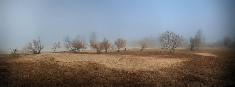 Утро. фото превью