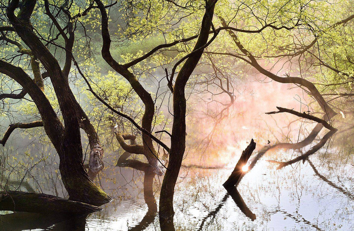 Fog and light, KIM SUK EUN