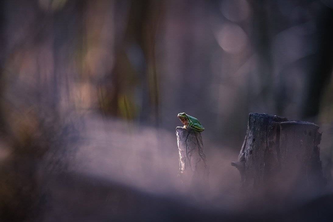 , Вячеслав Мищенко