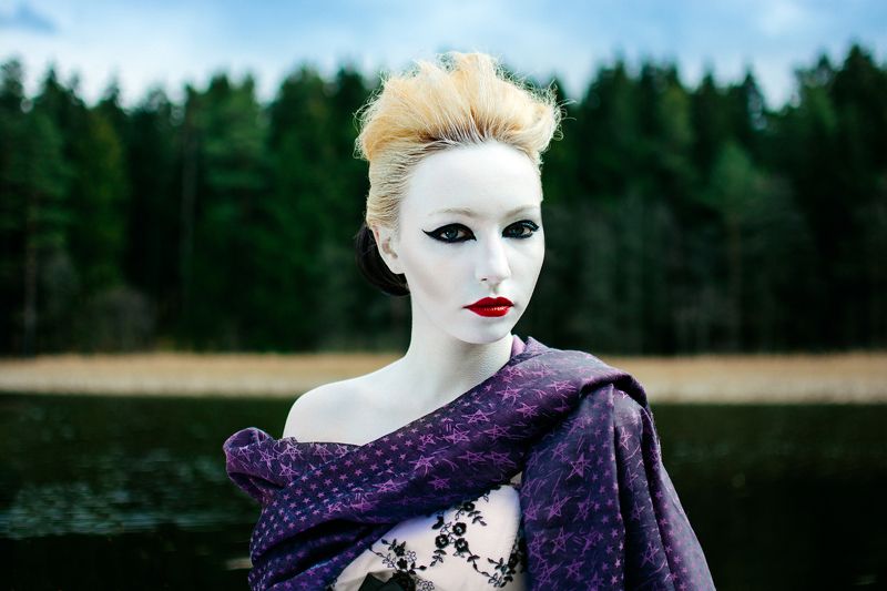 forest фото превью