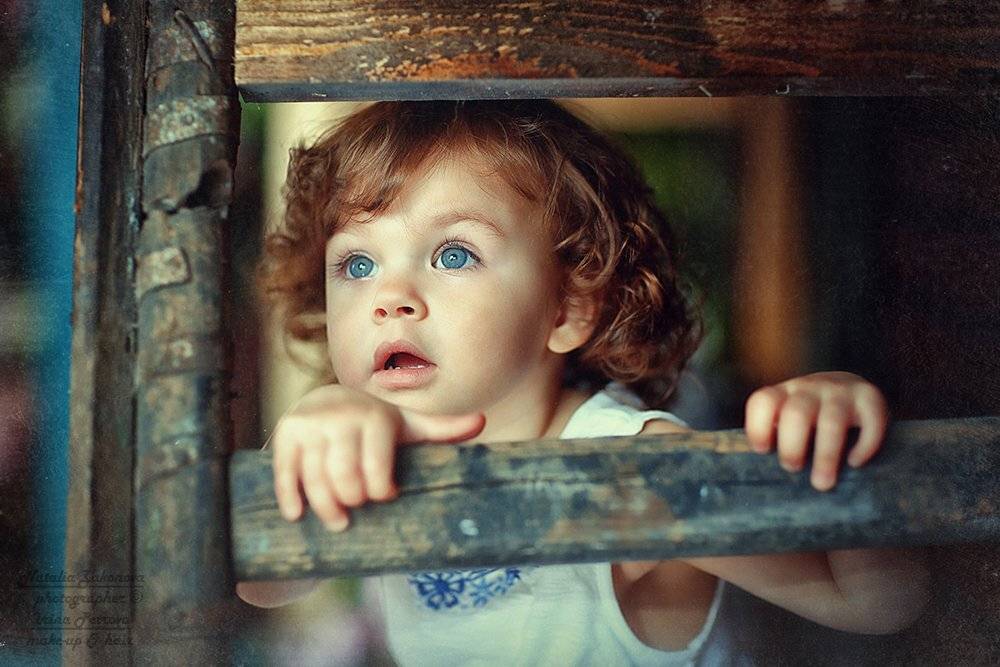 , Наталья Законова