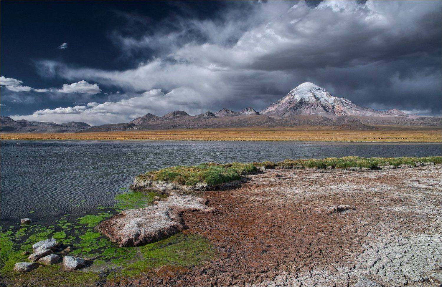 , Алексеевич