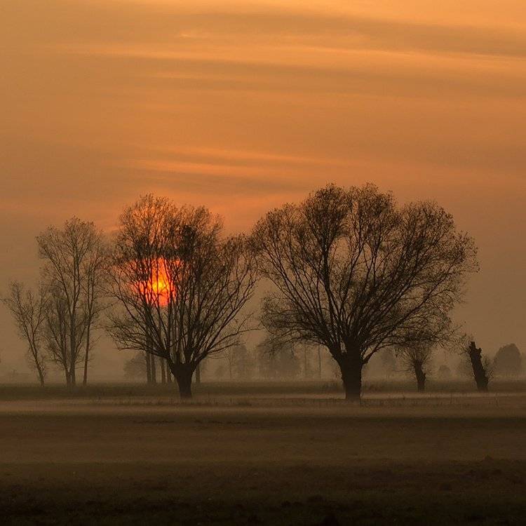 , Pawel Plucinski