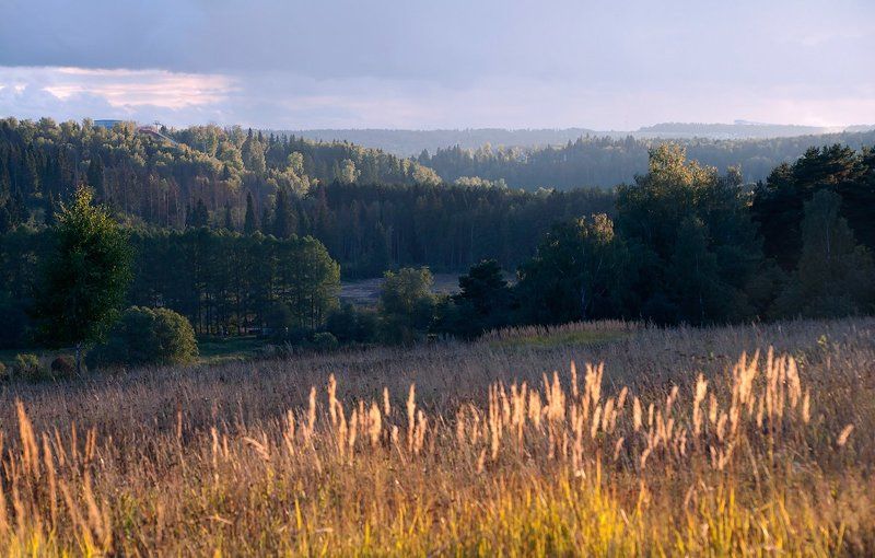 московская область, \\ Московская область с позиции географа фото превью