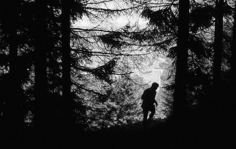 ... фото превью