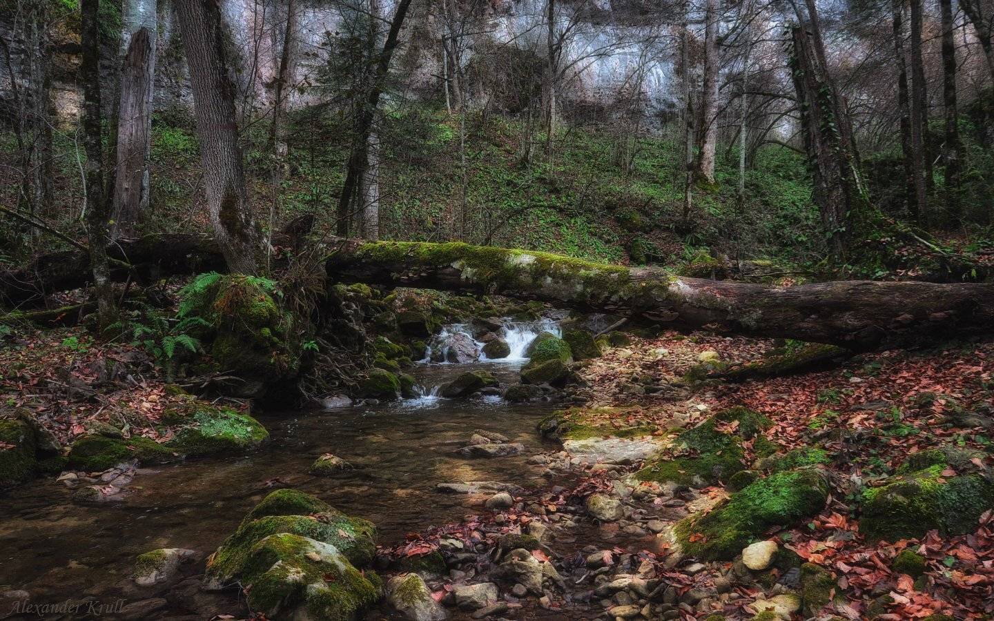 , Александр Круль