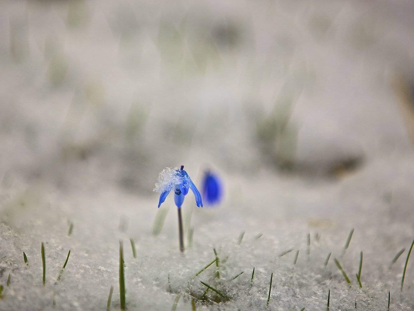 , Мазурин Евгений