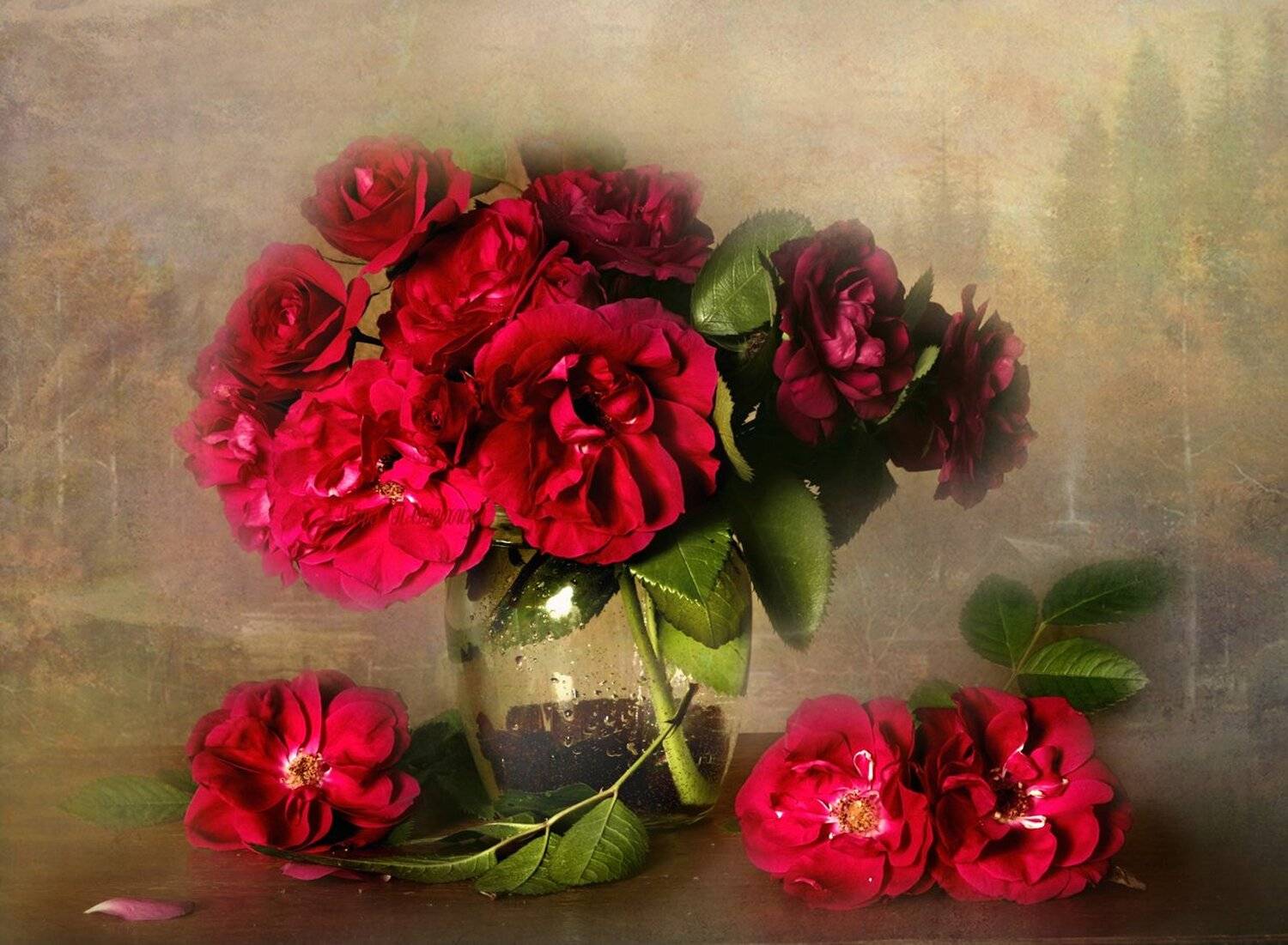 Букет роз, Красивые цветы, Красные роза, Вера Павлухина