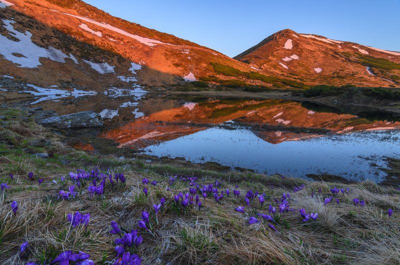 горы,карпаты,озеро,несамовитое,рассвет,крокусы,жереп Утро иного лика фото превью
