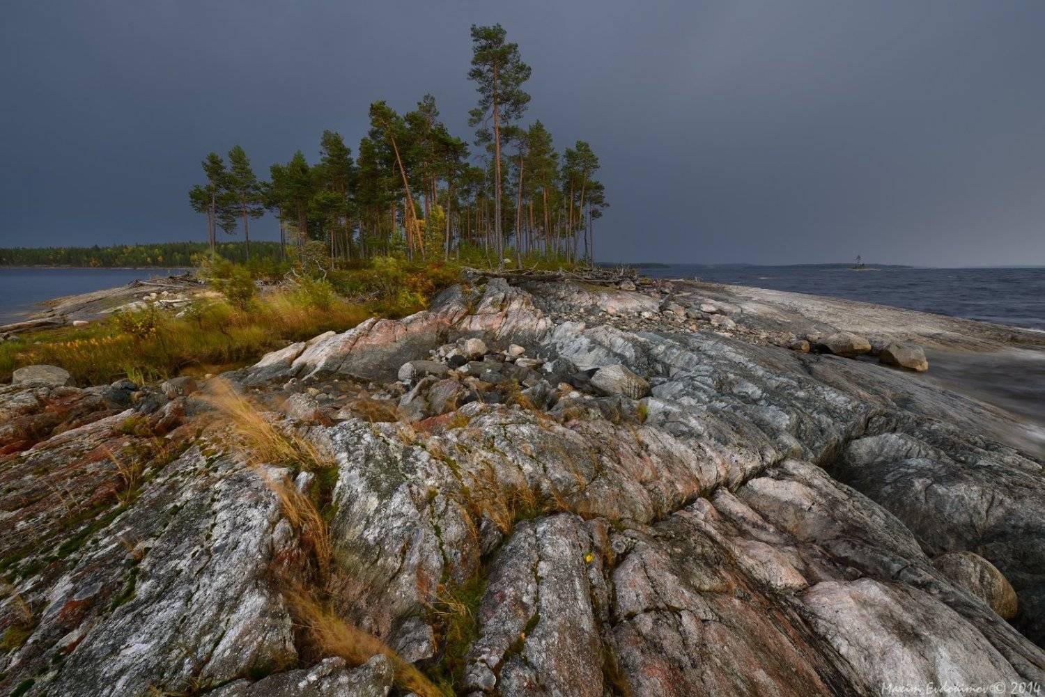 , Максим Евдокимов