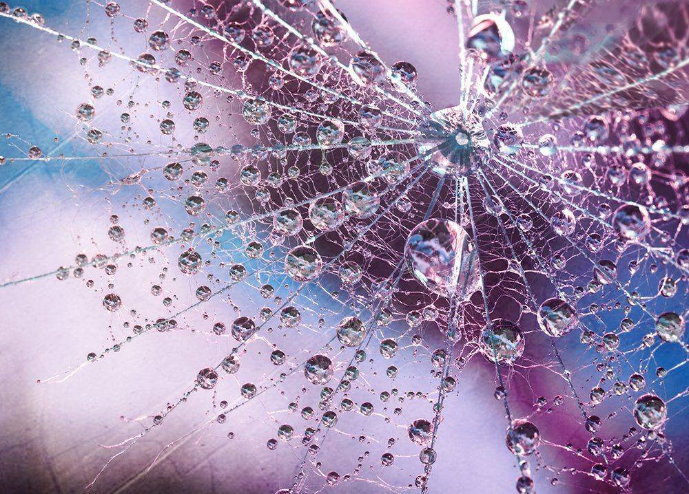 , Таня  Маркова