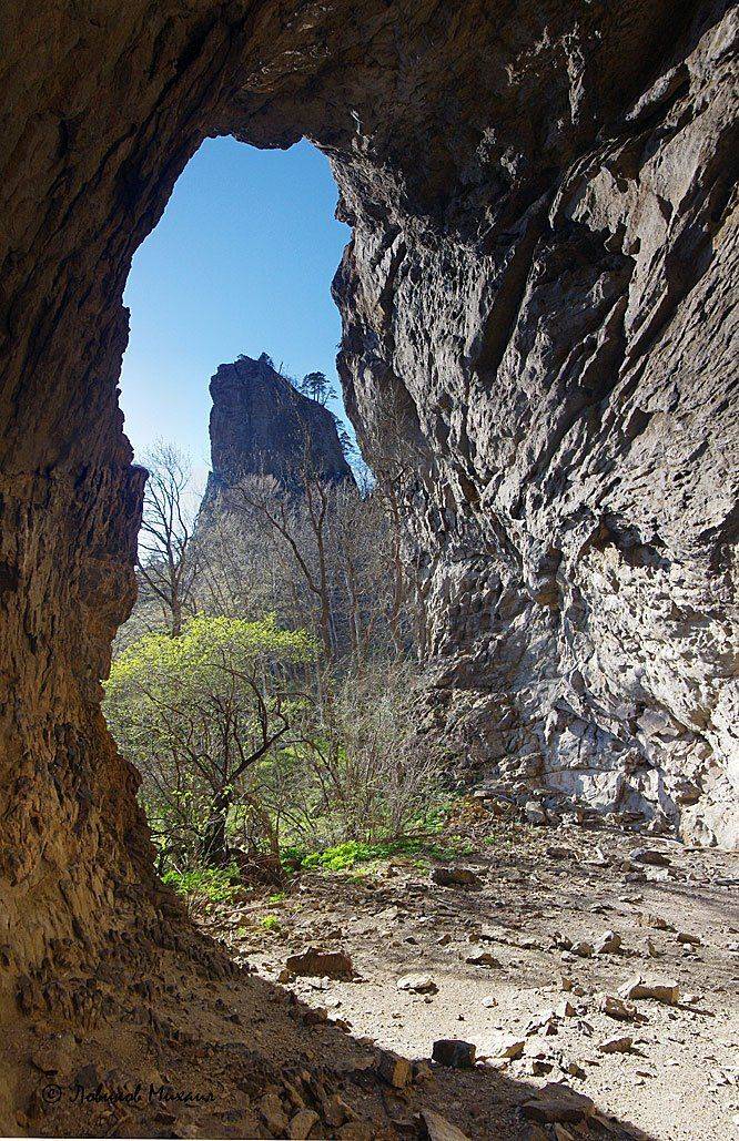 , Ловиков Михаил