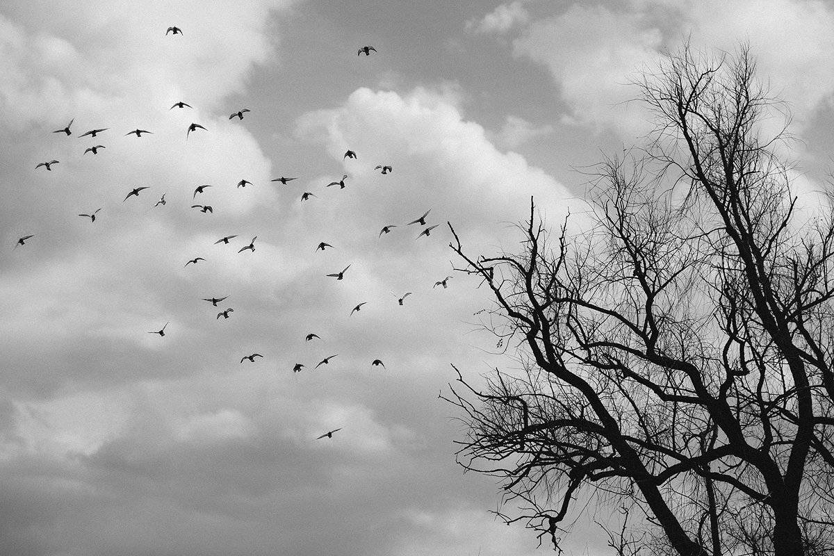 , Семён Конев