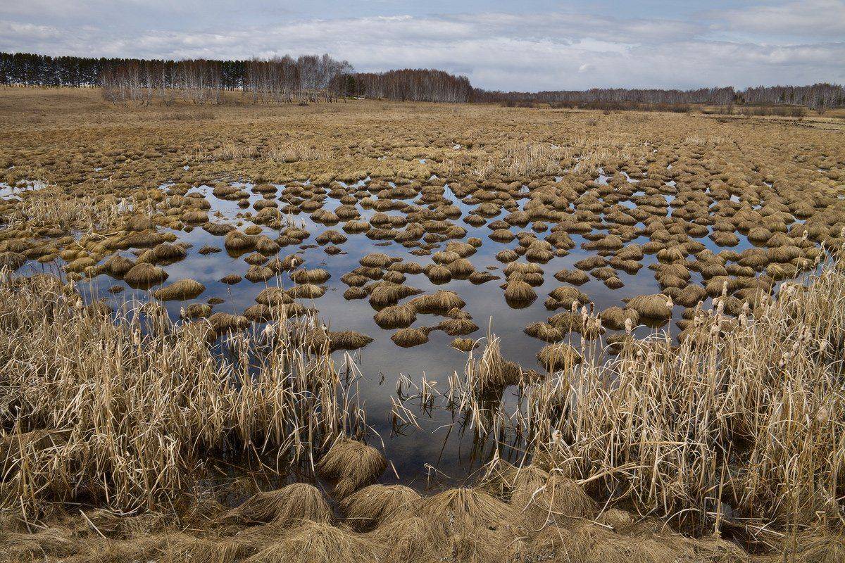 , Николай Морский