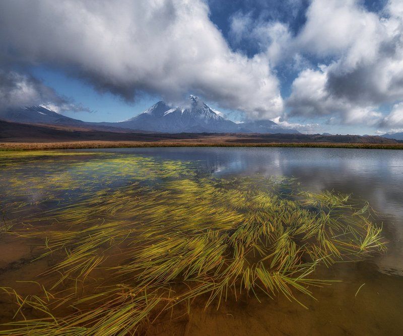 камень, камчатка, ключевская, толбачик Долина ВЕЛИКАНОВ. фото превью