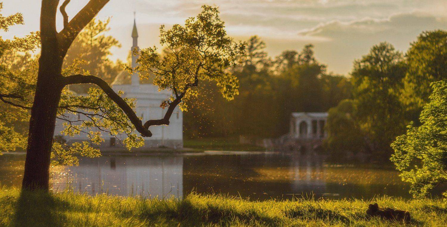 екатерининский парк, закат, лето, пушкин, царское село,  городской пейзаж, санкт-петербург, Таня SHE (Aiya)