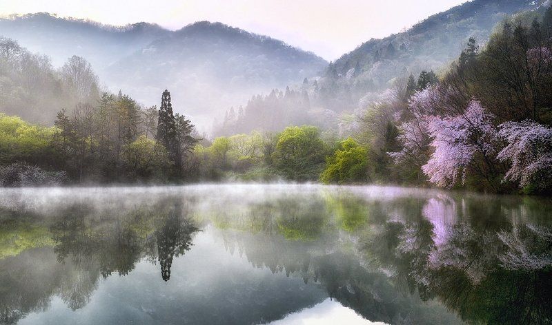 Spring