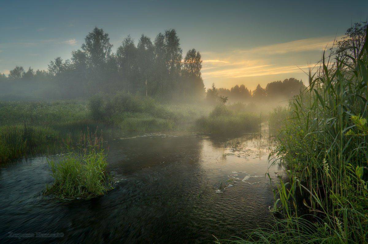 , Хохряков Николай
