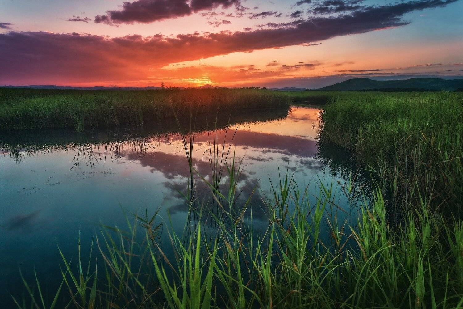 Закат, Лето, Небо, Трава, Андрей Кровлин