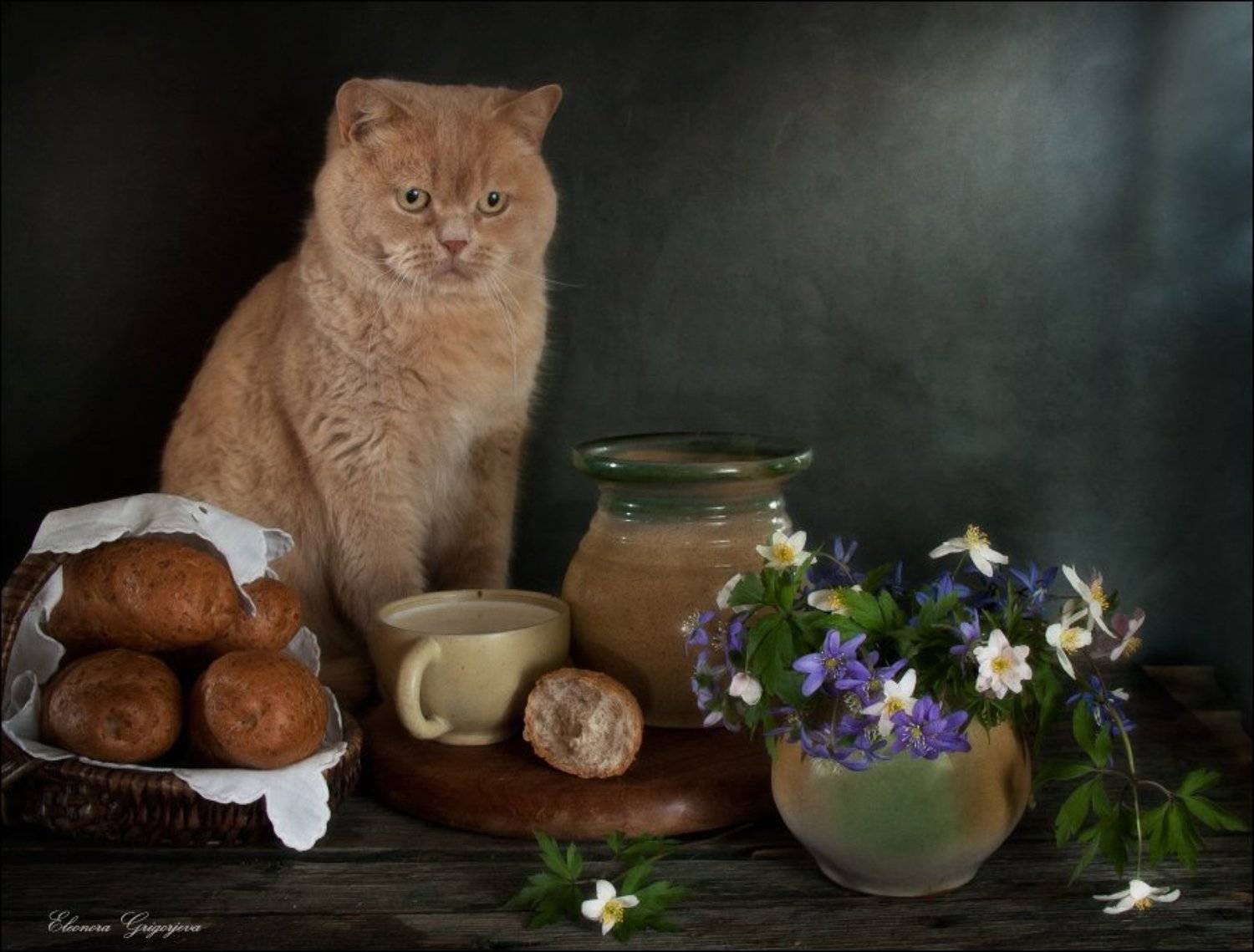 Анемоны, Весна, Кот, Молоко, Натюркотики, Первоцветы, Пролески, Хлеб, Eleonora Grigorjeva