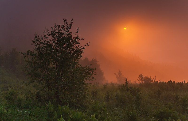 Утро туманное фото превью