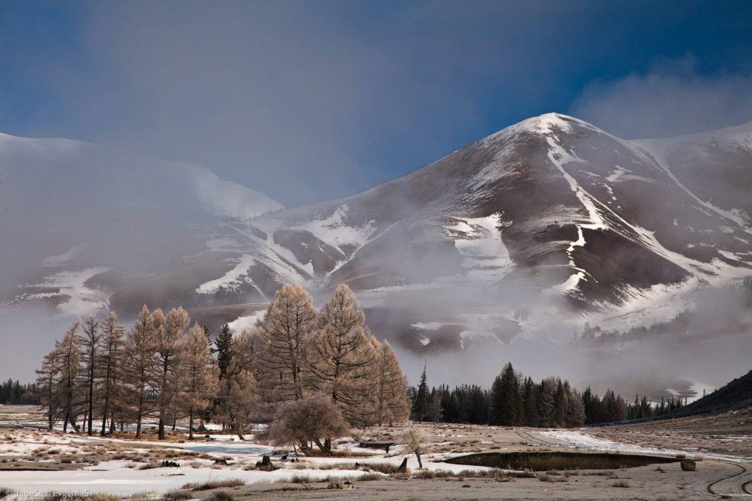 Алтай, Республика Алтай, Горный Алтай, межсезонье, март, 2015, Курайская степь, Курайский хребет, снег, лиственицы, туман, облака, Евгения Смолякова