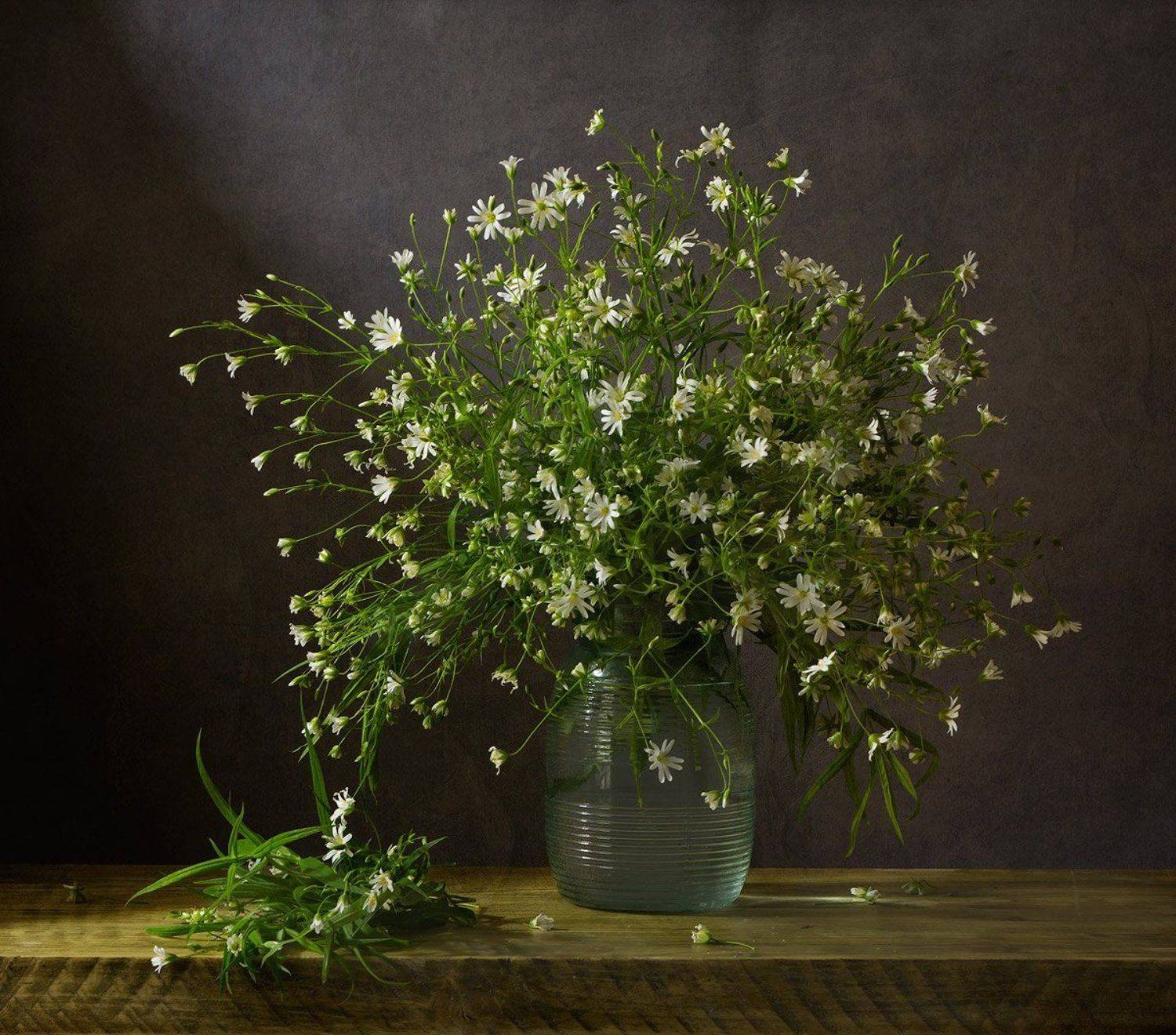 , Киливник Наталия(Metron)