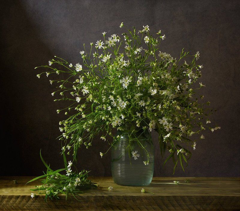 ***** фото превью