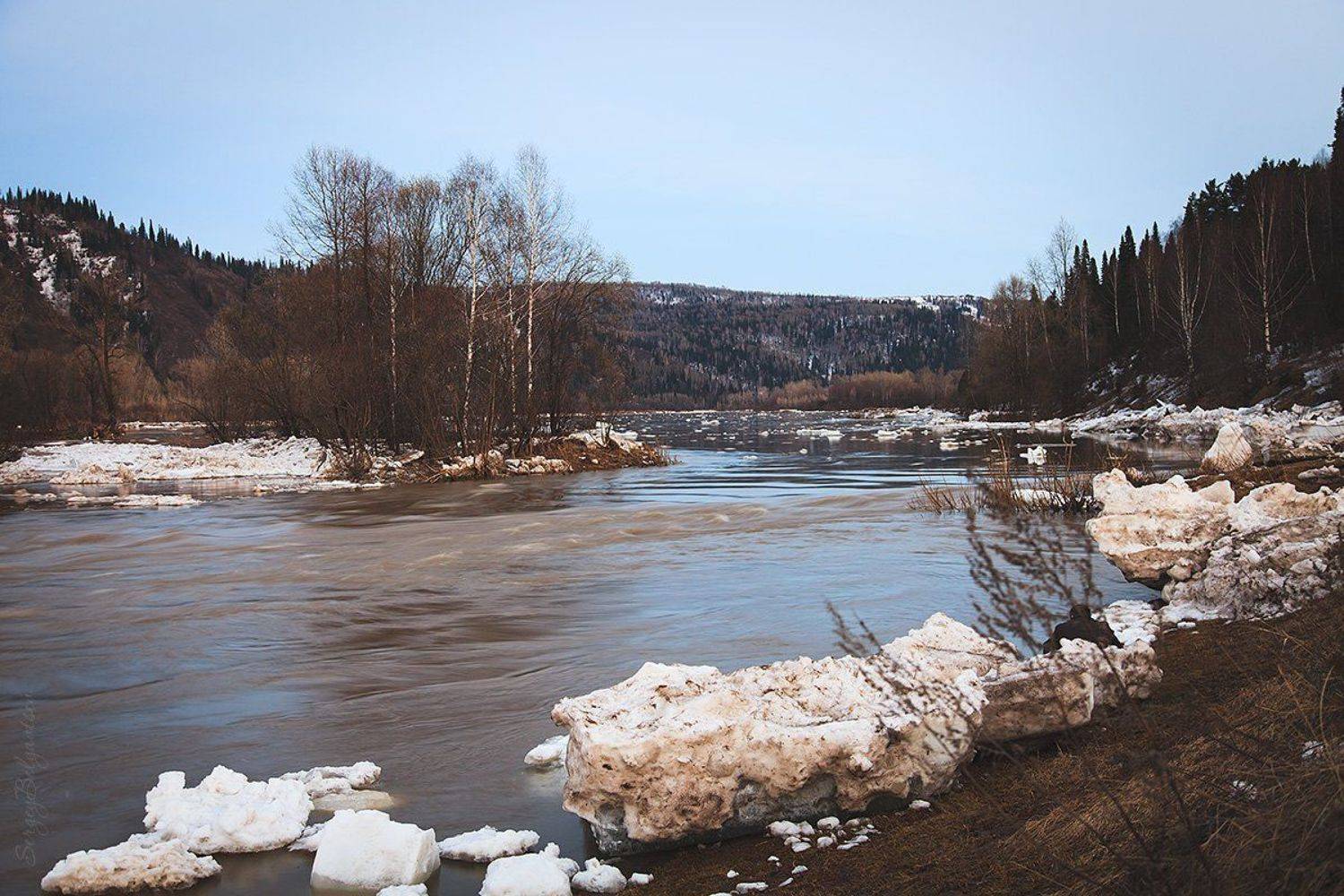 , Сергей Белявцев