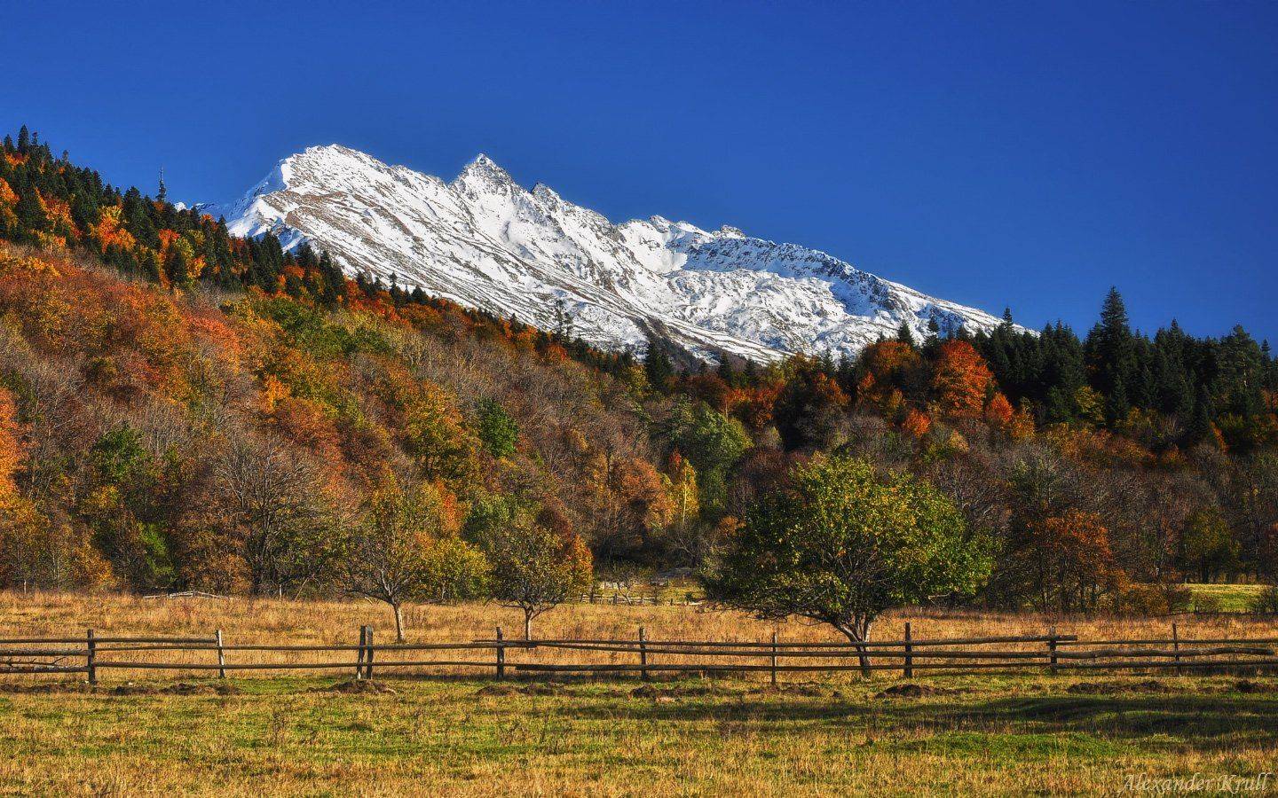 , Александр Круль