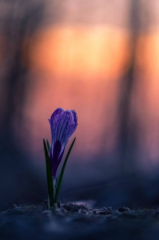 , Вячеслав Мищенко