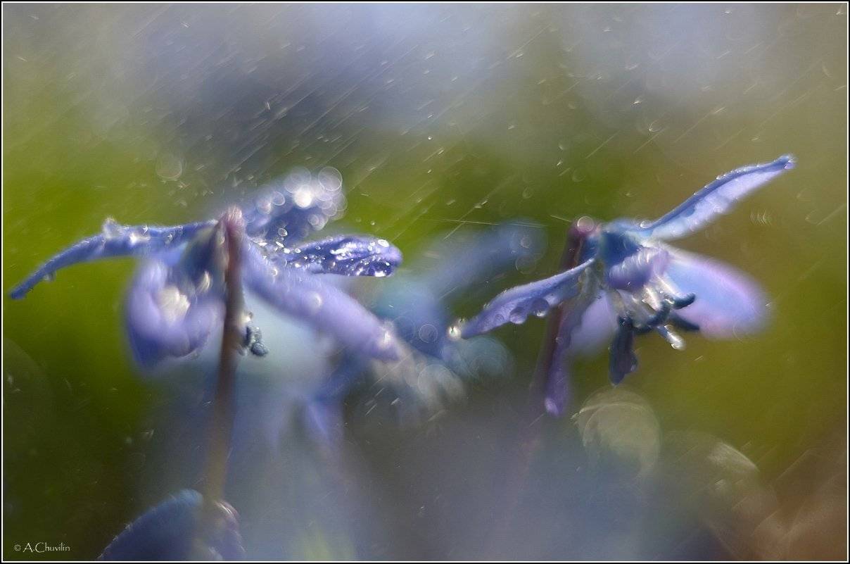 , Александр Чувилин