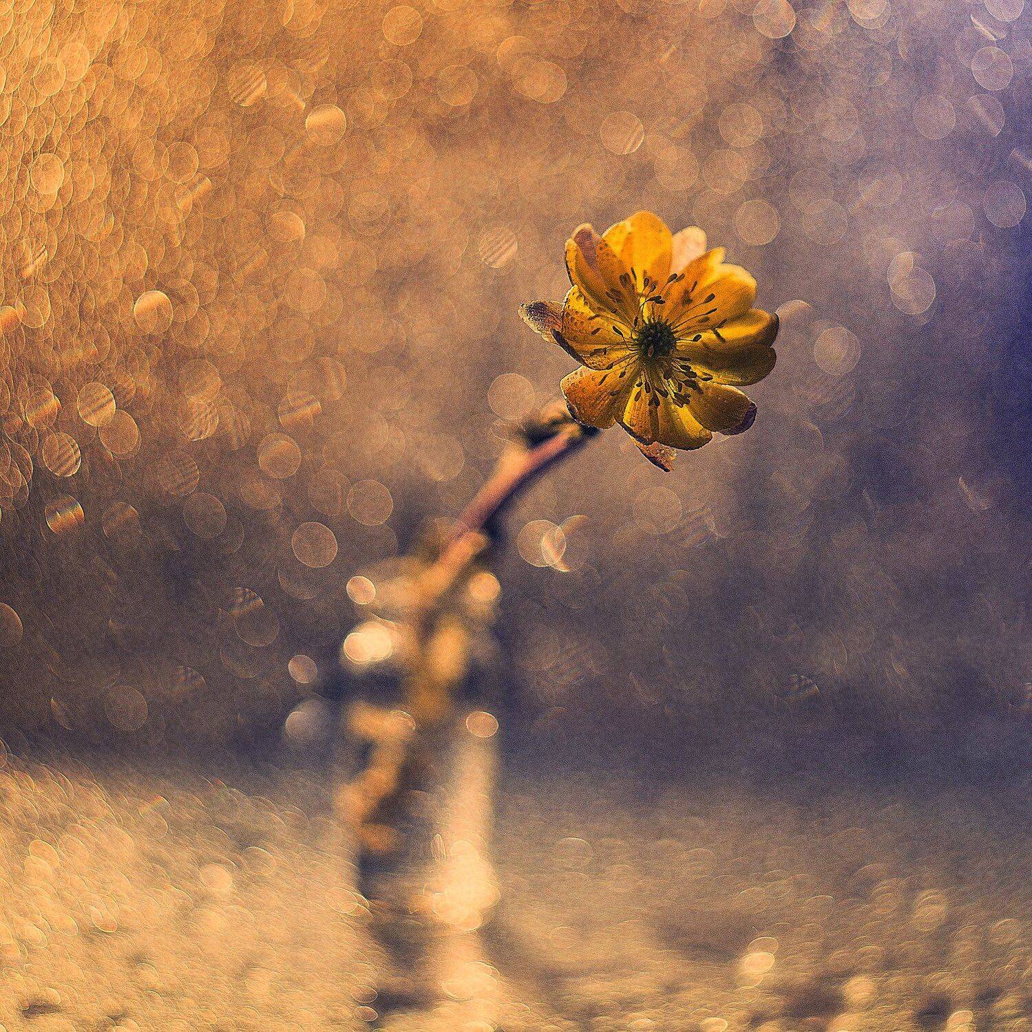 , Екатерина Науменко